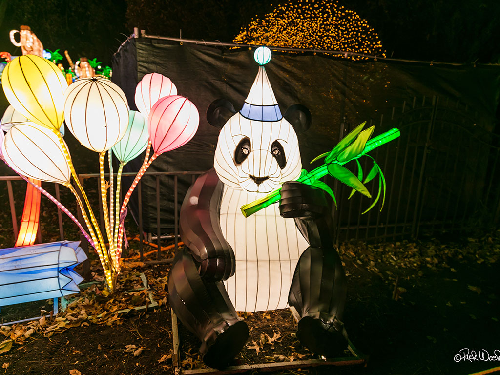 Panda Light Diaplsy Niagara Falls