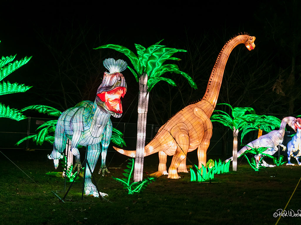 Dinosaur Light Festival Display