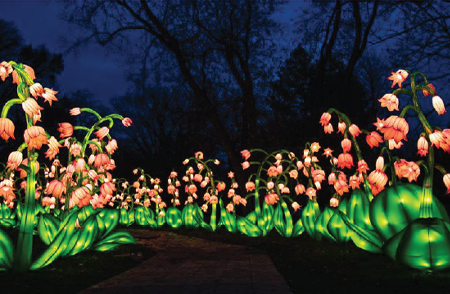 LED Flower Light Display Niagara Falls Light Festival